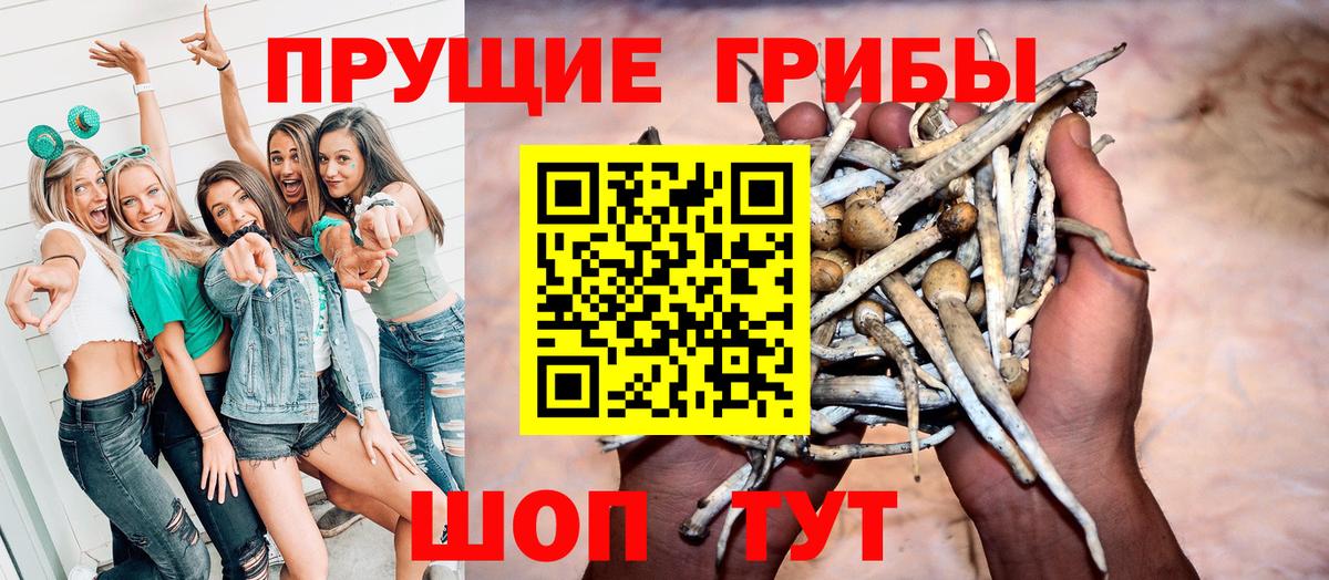 Клинцы  Псилоцибиновые грибы GOLDEN TEACHER  сколько стоит  Галлюциногенные грибы Cubensis  Вход с VPN 